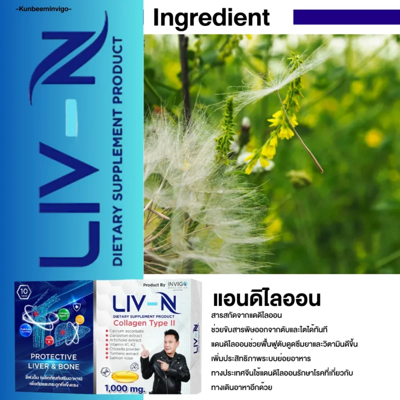 Liv-N Ingredient แอนดิไลออน
