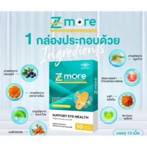 ภาพส่วนประกอบสำคัญของ Z-more